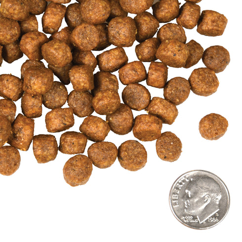Fromm Four-Star Dry Dog Food - Beef Frittata & Veg - 26lb Bag
